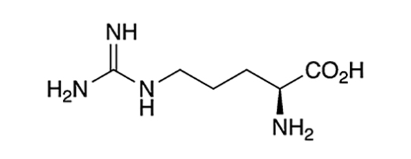 ال ارژنین ال اورنیتین جی ان سی 2500 GNC L-Arginine L-Ornithine 1 ال ارژنین ال اورنیتین جی ان سی 2500 GNC L-Arginine L-Ornithine فروشگاه یوفیت u-fitpro
