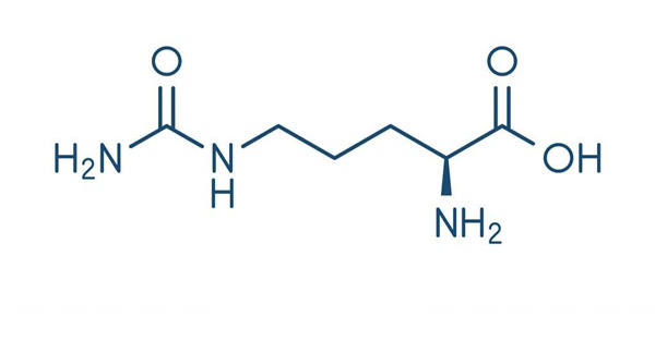 آمينو بی سی ای ای جی ان سی 1800 BCAA PP GNC 1 ساختار گلوتامین آمينو بی سی ای ای جی ان سی 1800 BCAA PP GNC