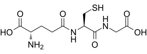 گلوتاتیون جی ان سی 500 GNC Glutathione 1 گلوتاتین جی ان سی 500 GNC Glutathione فروشگاه یوفیت u-fitpro