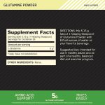 گلوتامین پودری اپتیموم نوتریشن Glutamine Powder Optimum Nutrition - Image 2