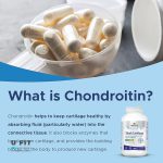 شارک کارتیلیج مپل لایف Shark Cartilage Maplelife - Image 2