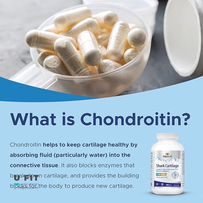 شارک کارتیلیج مپل لایف Shark Cartilage Maplelife - Image 2