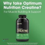کراتین مونوهیدرات میکرونایز کپسول اپتیموم نوتریشن Creatine Micronized Capsules Optimum Nutrition - Image 3