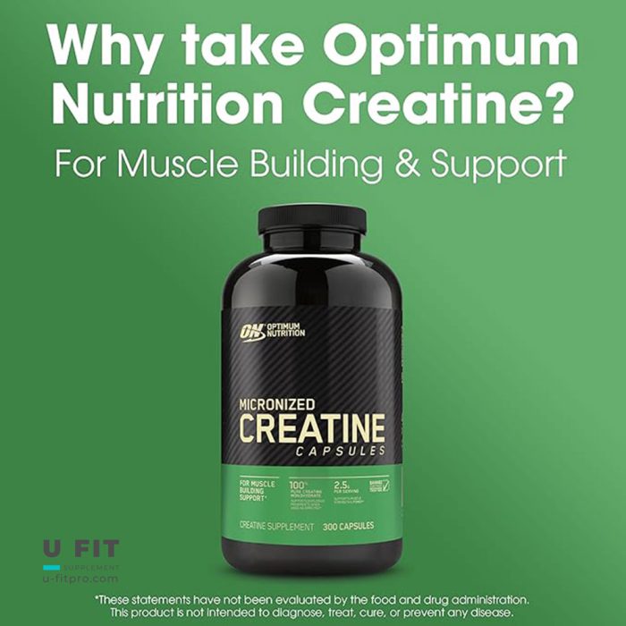 کراتین مونوهیدرات میکرونایز کپسول اپتیموم نوتریشن Creatine Micronized Capsules Optimum Nutrition - Image 3