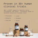 کپسول تقویت سیستم ایمنی ای اچ سی سی پلاتینیوم کینوکو AHCC Kinoko platinum - Image 6