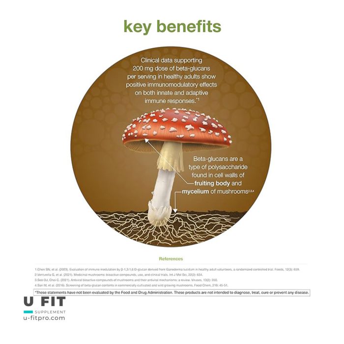 ماشروم کمپلکس یوتئوری Mushroom Complex Youtheory - Image 3