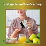 ماشروم کمپلکس یوتئوری Mushroom Complex Youtheory - Image 5