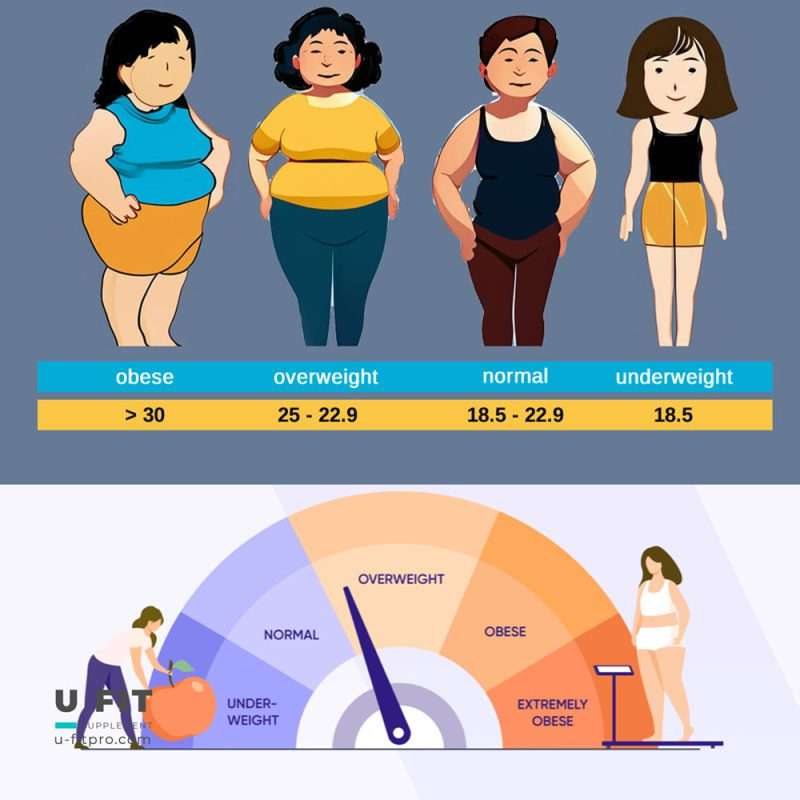 bmi شاخص توده بدنی ، یوفیت پرو www.u-fitpro.com