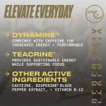 چربی سوز اس اس تی وى ترى ايكس پرفورميكس | فروشگاه https://u-fitpro.com