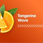 اسنشیال آمینو انرژی الکترولایت ساشه اپتیموم نوتریشن | فروشگاه https://u-fitpro.com