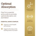 اسنشیال آمینو کمپلکس سولگار | فروشگاه https://u-fitpro.com