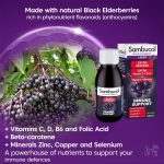 شربت اكسترا ديفنس تقويت سيستم ايمنى سامباكول | فروشگاه https://u-fitpro.com