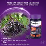 پاستیل ایمونو فورت تقویت ایمنی سامباکول | فروشگاه https://u-fitpro.com