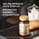 جنتل آیرون (آهن) 25 میلی گرم سولگار | فروشگاه https://u-fitpro.com