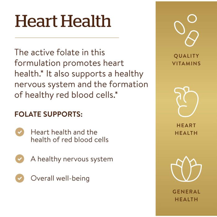 فولات 1000 میکروگرم سولگار | فروشگاه https://u-fitpro.com