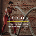 اچ ام بی کمستری لبز بیوند راو جی ان سی | فروشگاه https://u-fitpro.com