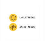 ال گلوتامین کمستری لبز بیوند راو جی ان سی | فروشگاه https://u-fitpro.com