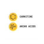 ال کارنیتین کمستری لبز بیوند راو جی ان سی | فروشگاه https://u-fitpro.com