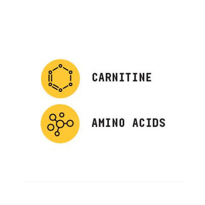 ال کارنیتین کمستری لبز بیوند راو جی ان سی | فروشگاه https://u-fitpro.com