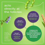 سرم تقویت کننده مو ی سر بایر پرایورین آلمان | فروشگاه https://u-fitpro.com