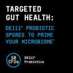 پروتئین وی داینامیک های تک بیوند راو جی ان سی | فروشگاه https://u-fitpro.com/