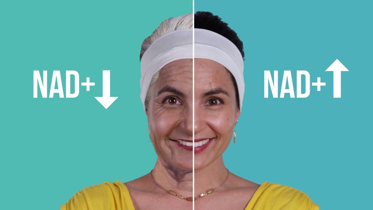ان ای دی (+NAD) یا ناد چیست ؟ 1