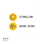 ال سیترولین کمستری لبز بیوند راو جی ان سی | فروشگاه https://u-fitpro.com