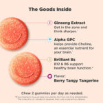 پاستيل اولى فوكوس | فروشگاه https://u-fitpro.com