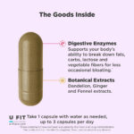 تنظیم گوارش بلوت اولی | فروشگاه https://u-fitpro.com