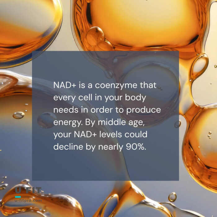 افزایش اکسیژن مصرفی اکسی درین نووکس بیوتک | فروشگاه https://u-fitpro.com/