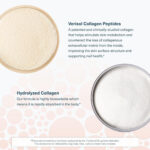 كلاژن مايع ساشه يوتئورى بدون قند | فروشگاه https://u-fitpro.com