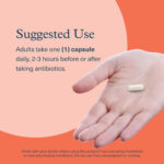 پروبیوتیک فیبر GLP1 یوتئوری | فروشگاه https://u-fitpro.com