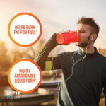 ال کارنیتین تریپل استرنج 3000 میلی‌گرم ناوفودز | فروشگاه https://u-fitpro.com