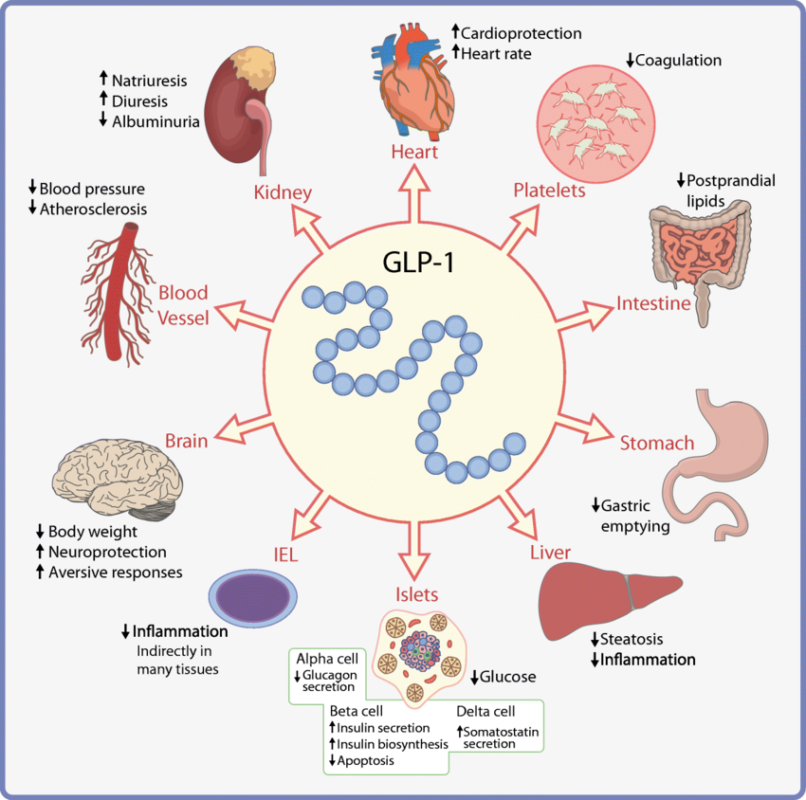 image 2025 12 31 185516047