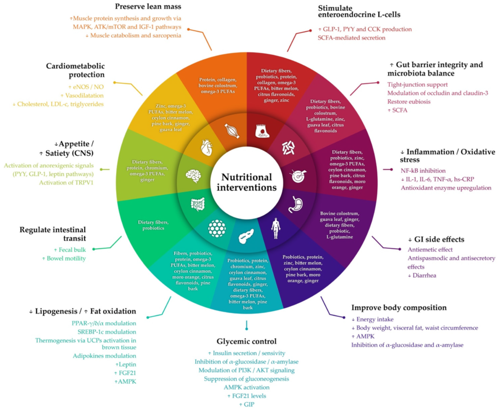 image 2025 12 31 185530028