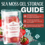 سوپر فود ترو سى موس ژل | TrueSeaMoss Sea Moss Gel - Image 20