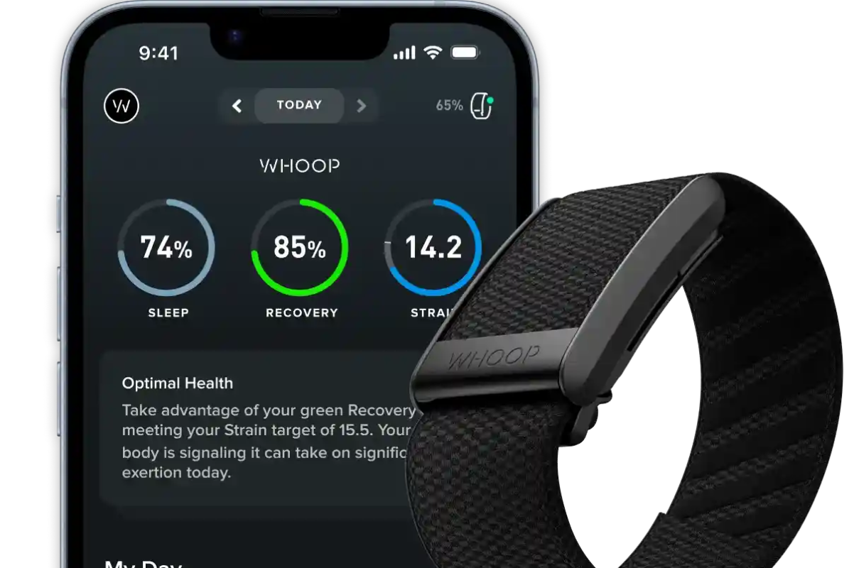 image 2026 01 01 094312569