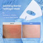 ماسک ورقه ای آبی آبرسان و هیالورونیک اسید بایودنس | BIODANCE Hydro Cera-nol Real Deep Mask - Image 5